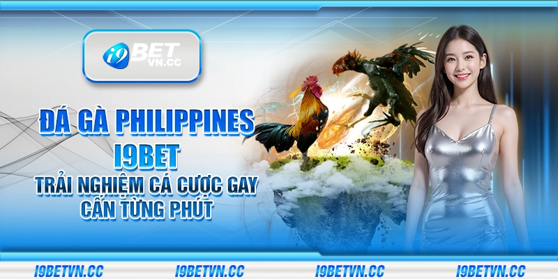 Đá gà Philippines i9Bet – Trải nghiệm cá cược gay cấn từng phút