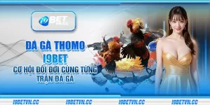 Đá gà Thomo i9Bet - Cơ hội đổi đời cùng từng trận đá gà