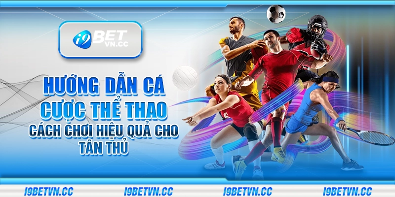 Hướng dẫn cá cược thể thao – Cách chơi hiệu quả cho tân thủ