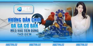 Hướng dẫn chơi đá gà cơ bản – Mẹo vào tiền đúng thời điểm