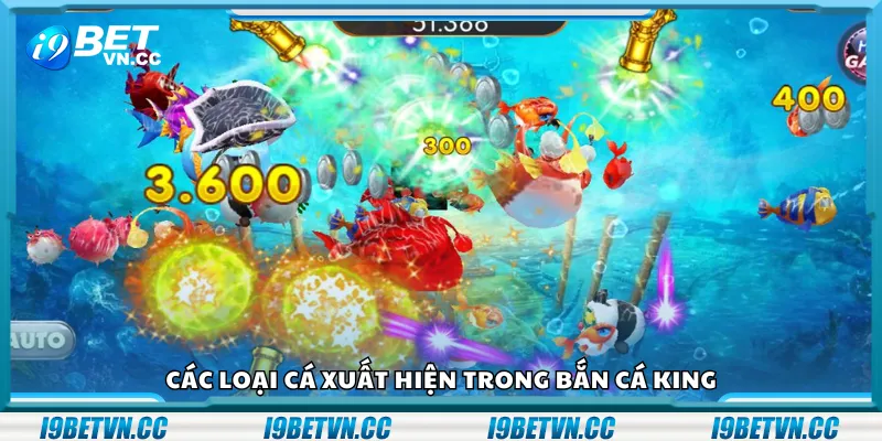 Các loại cá xuất hiện trong Bắn Cá King