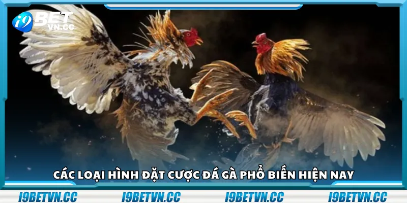 Các loại hình đặt cược đá gà phổ biến hiện nay