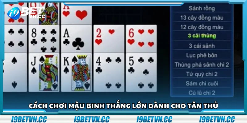 Cách chơi Mậu Binh thắng lớn dành cho tân thủ