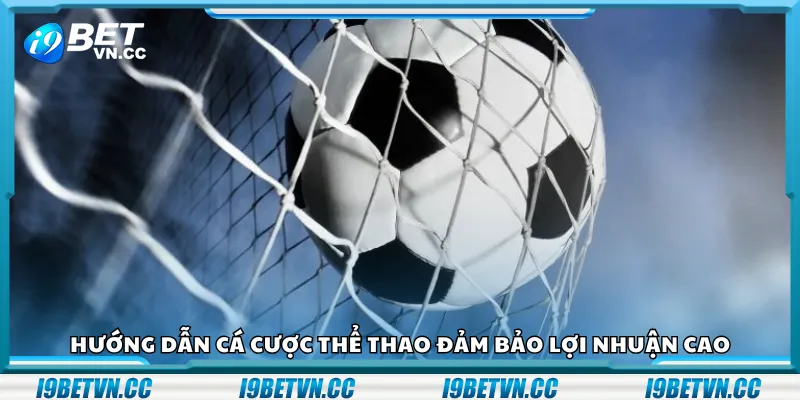 Hướng dẫn cá cược thể thao đảm bảo lợi nhuận cao