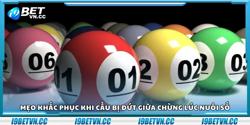 Mẹo khắc phục khi cầu bị đứt giữa chừng lúc nuôi số