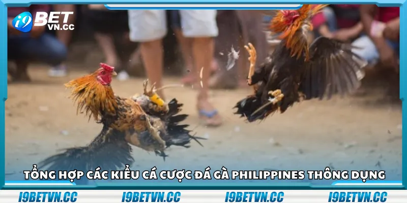 Tổng hợp các kiểu cá cược đá gà Philippines thông dụng