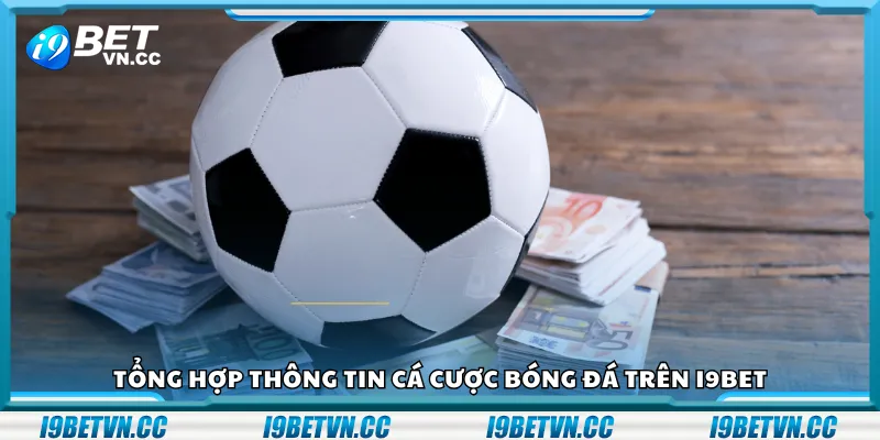 Tổng hợp thông tin cá cược bóng đá trên i9Bet